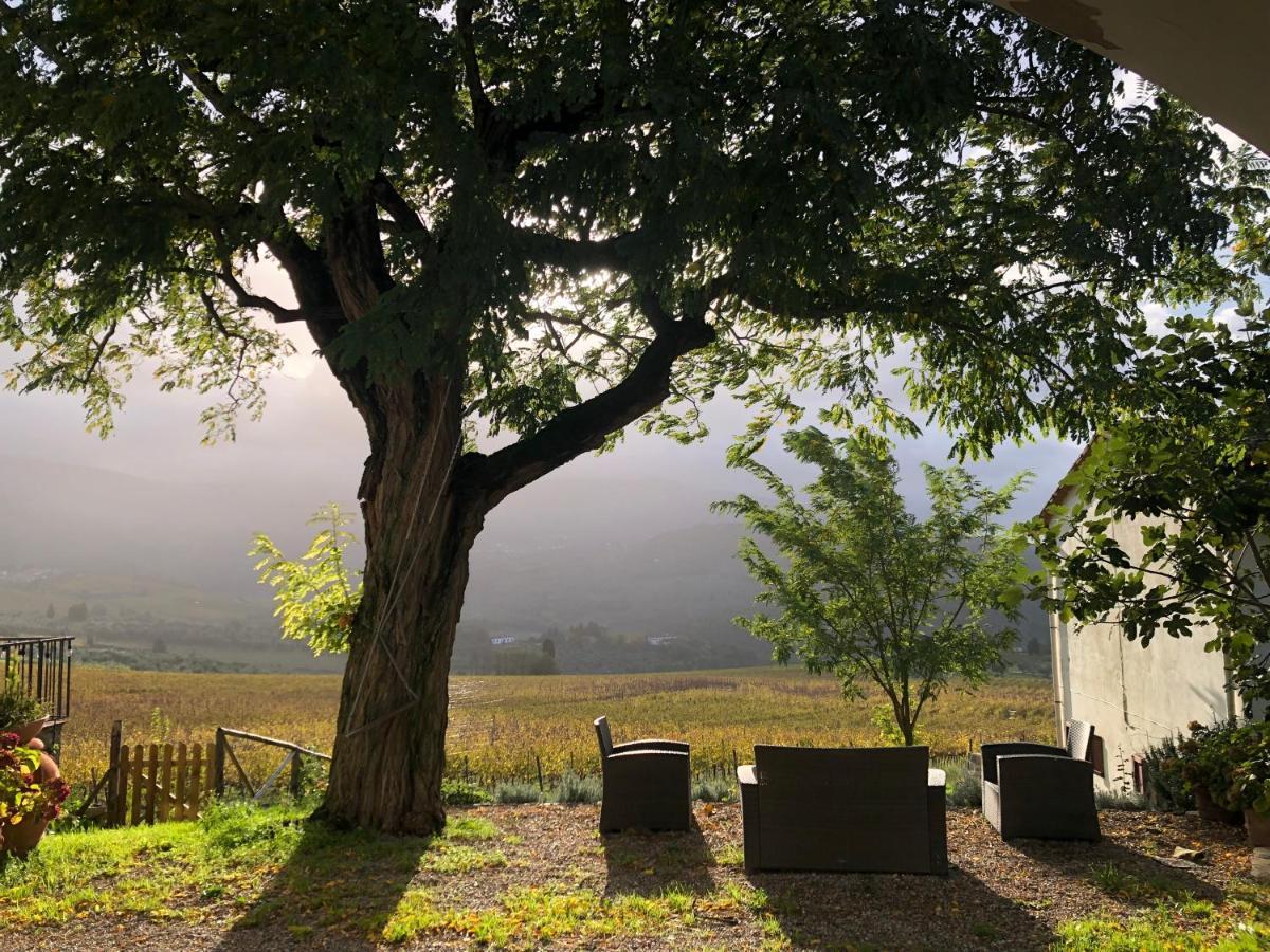 Azienda Agricola Il Poggiolino Villa Pelago Dış mekan fotoğraf