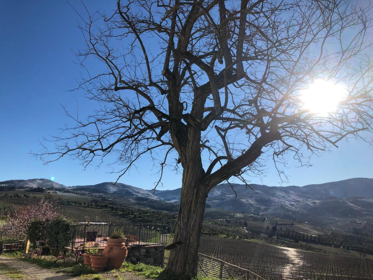 Azienda Agricola Il Poggiolino Villa Pelago Dış mekan fotoğraf