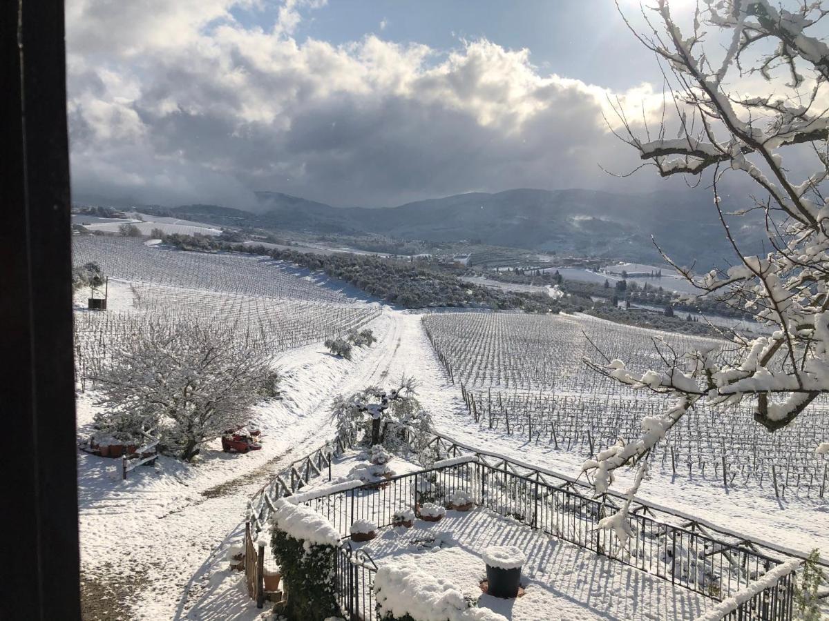 Azienda Agricola Il Poggiolino Villa Pelago Dış mekan fotoğraf