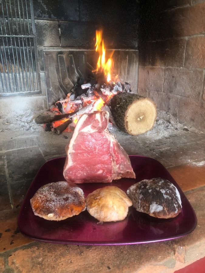 Azienda Agricola Il Poggiolino Villa Pelago Dış mekan fotoğraf