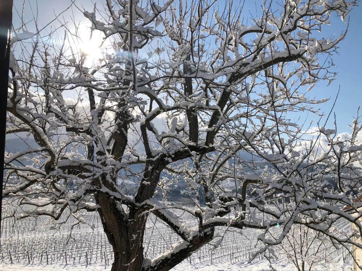 Azienda Agricola Il Poggiolino Villa Pelago Dış mekan fotoğraf