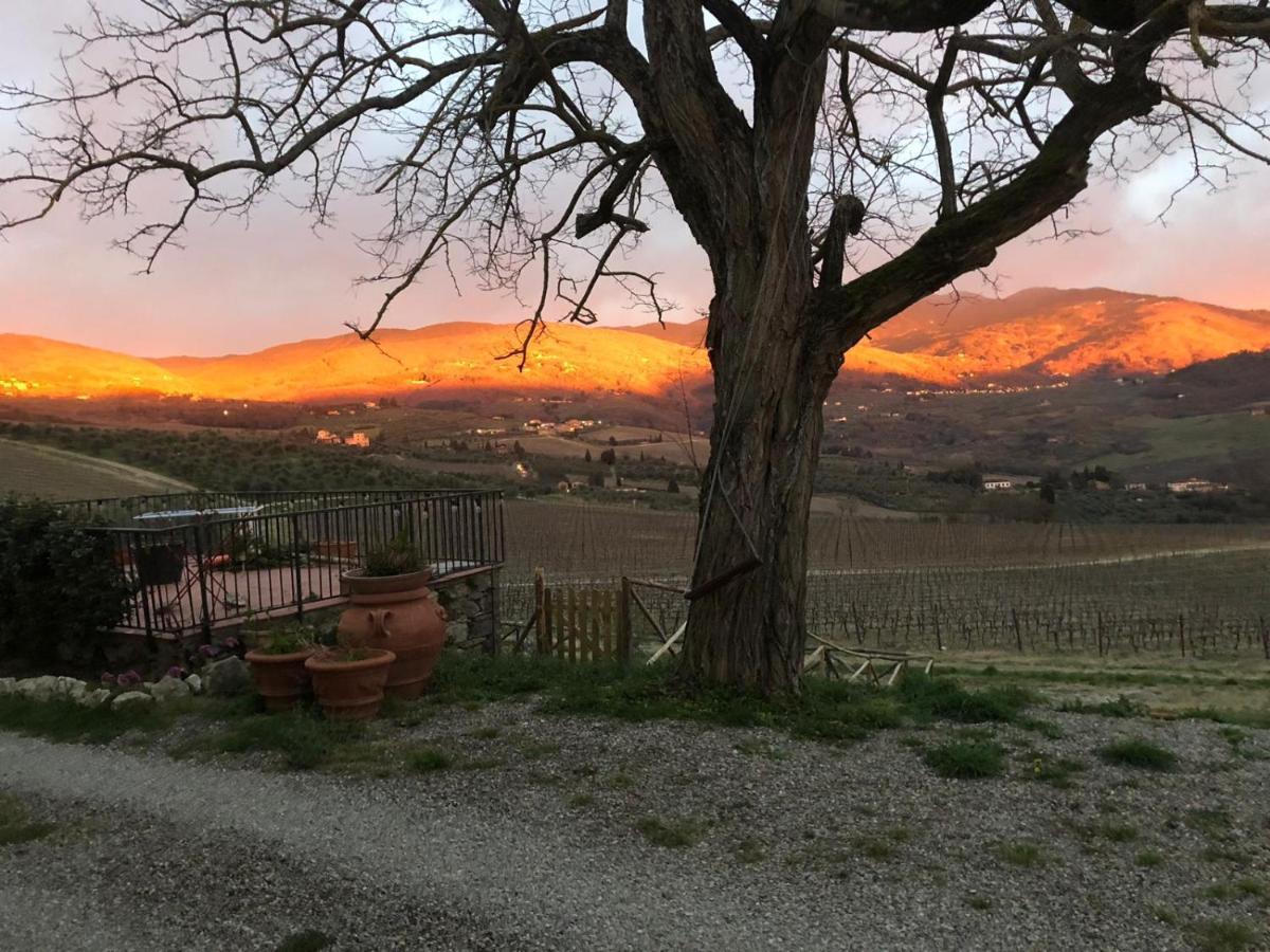 Azienda Agricola Il Poggiolino Villa Pelago Dış mekan fotoğraf