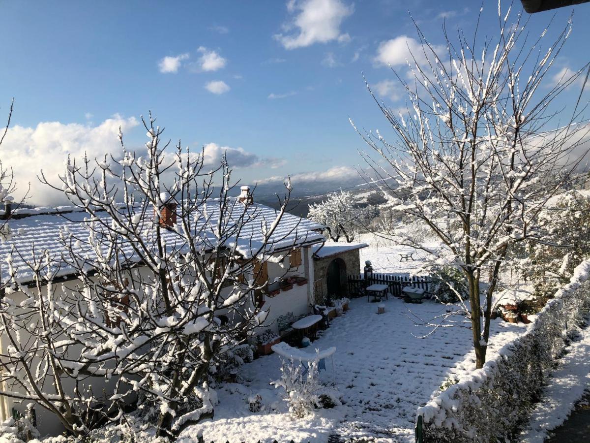 Azienda Agricola Il Poggiolino Villa Pelago Dış mekan fotoğraf