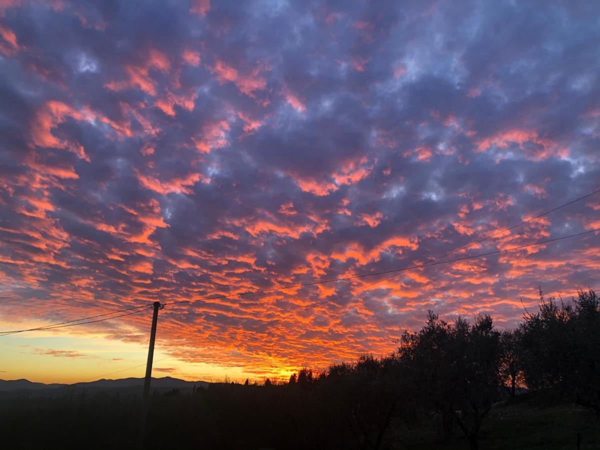 Azienda Agricola Il Poggiolino Villa Pelago Dış mekan fotoğraf