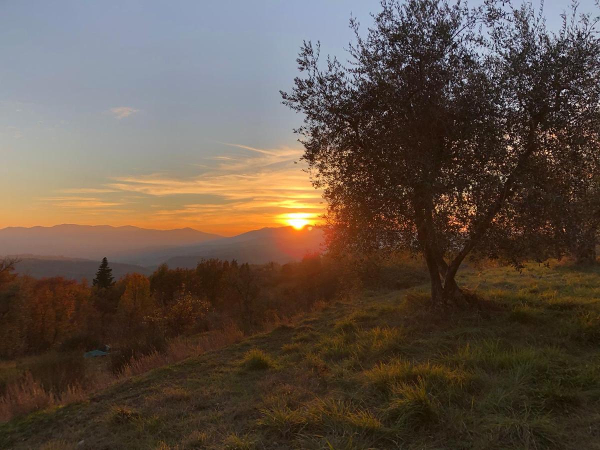 Azienda Agricola Il Poggiolino Villa Pelago Dış mekan fotoğraf