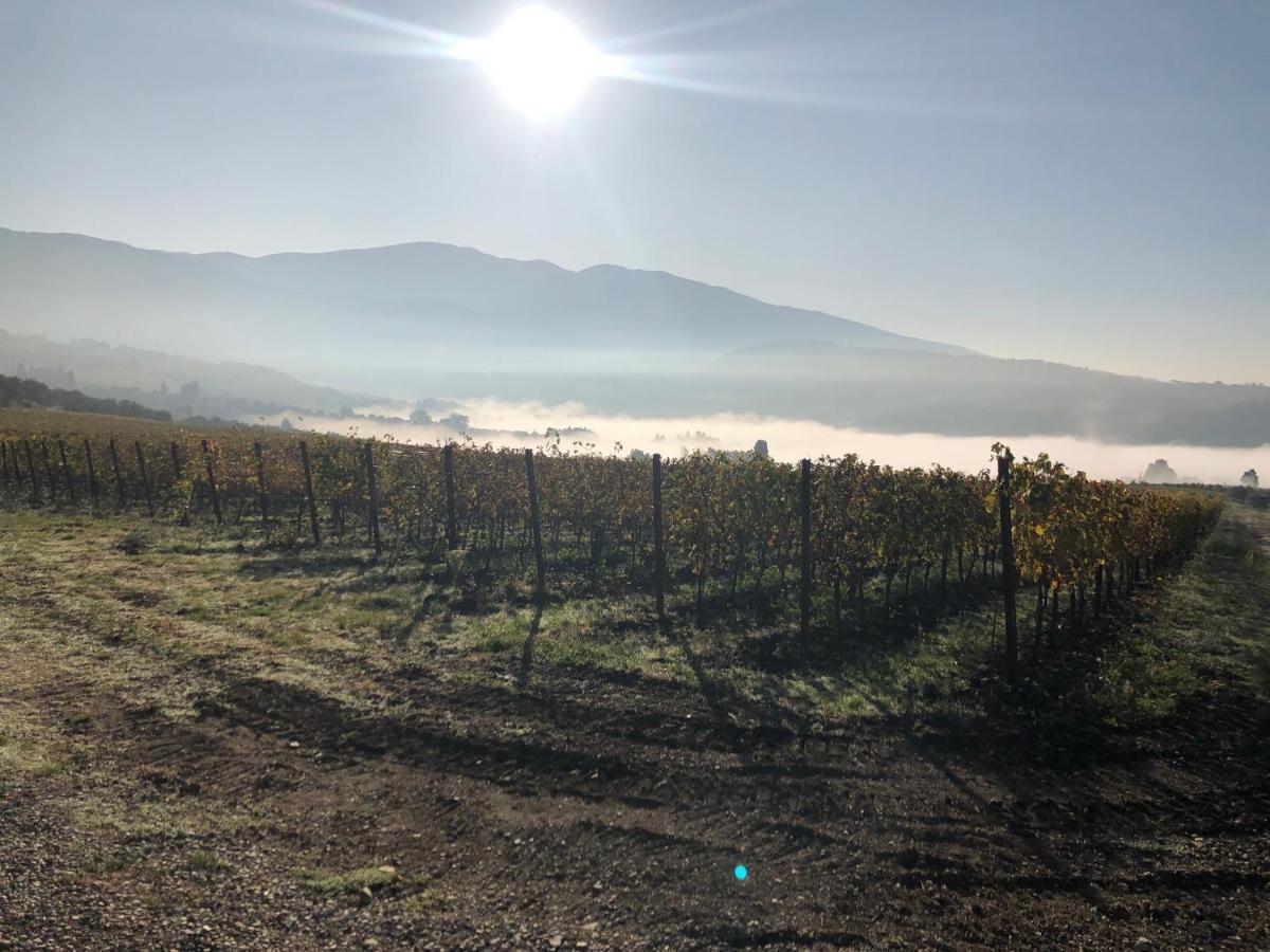 Azienda Agricola Il Poggiolino Villa Pelago Dış mekan fotoğraf