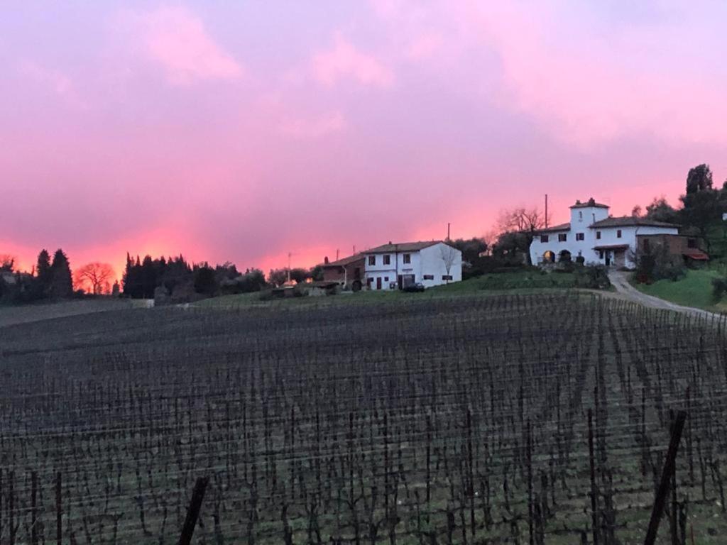 Azienda Agricola Il Poggiolino Villa Pelago Dış mekan fotoğraf