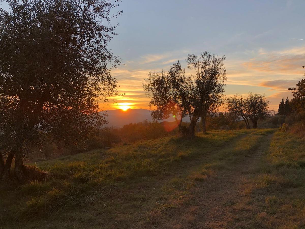 Azienda Agricola Il Poggiolino Villa Pelago Dış mekan fotoğraf